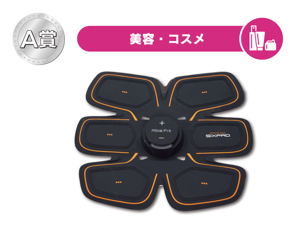 SIXPAD Abs Fit2